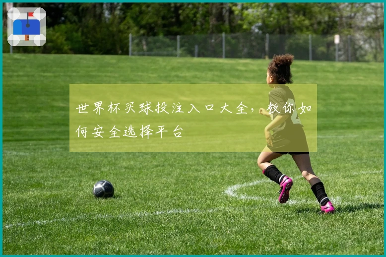 世界杯买球投注入口大全，教你如何安全选择平台