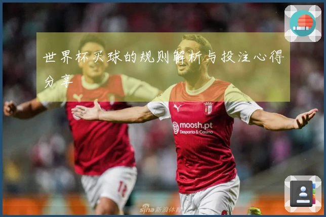 世界杯买球的规则解析与投注心得分享