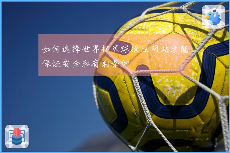 如何选择世界杯买球投注网站才能保证安全和有利条件