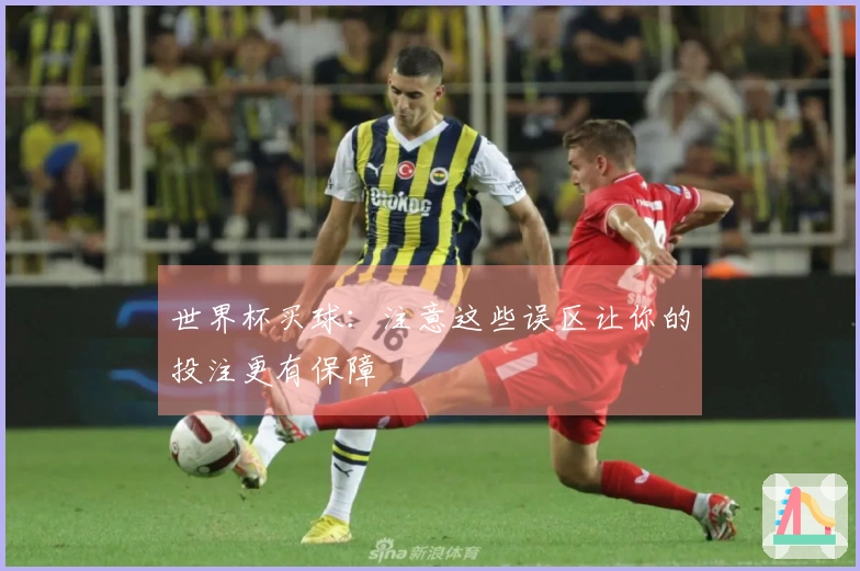 世界杯买球：注意这些误区让你的投注更有保障