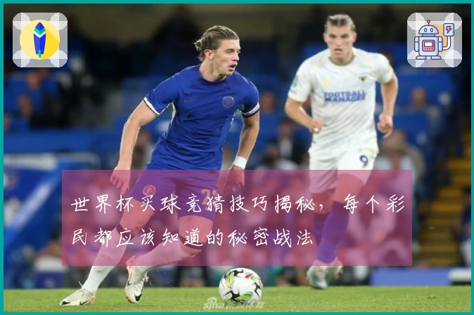世界杯买球竞猜技巧揭秘，每个彩民都应该知道的秘密战法
