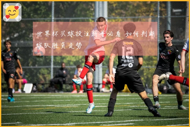 世界杯买球投注新手必看 如何判断球队胜负走势