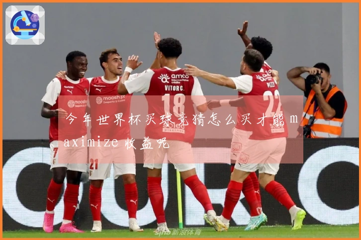 今年世界杯买球竞猜怎么买才能 maximize 收益呢