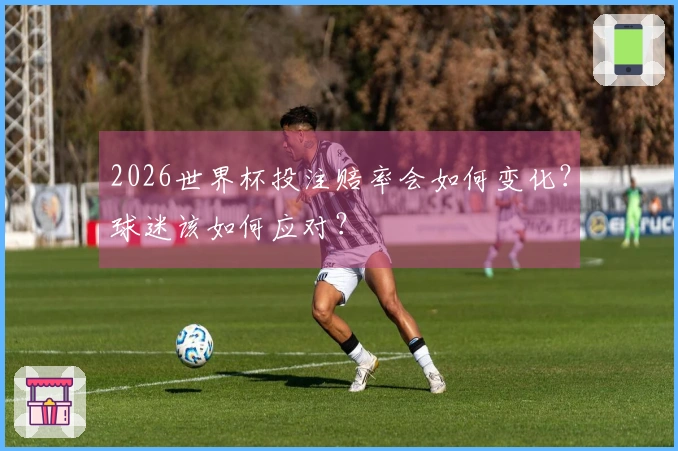 2026世界杯投注赔率会如何变化？球迷该如何应对？