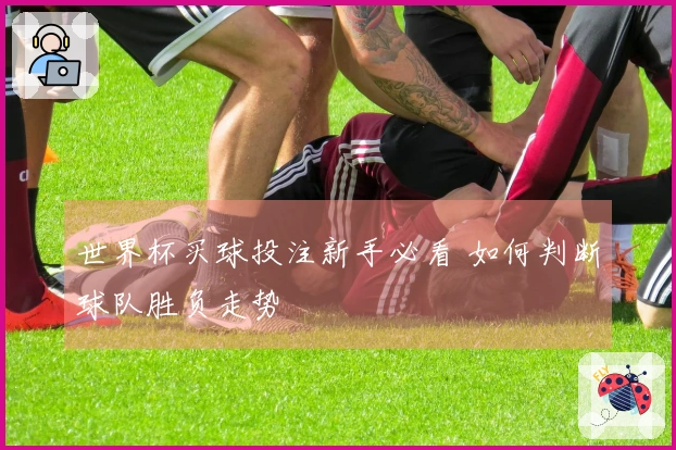 世界杯买球投注新手必看 如何判断球队胜负走势