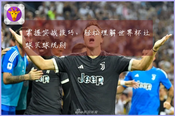 掌握实战技巧，轻松理解世界杯让球买球规则