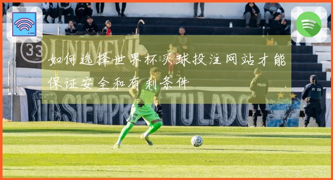 如何选择世界杯买球投注网站才能保证安全和有利条件