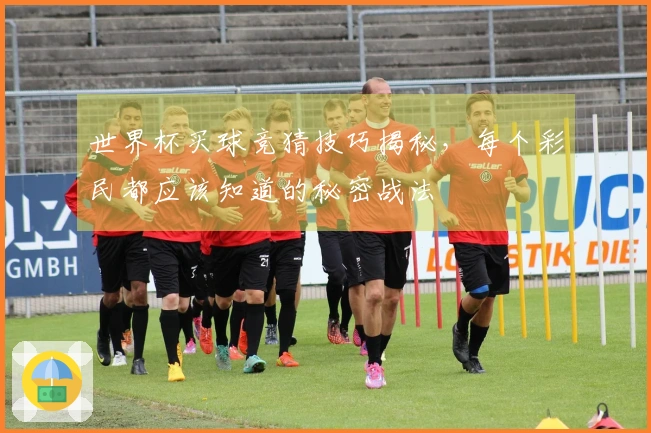 世界杯买球竞猜技巧揭秘，每个彩民都应该知道的秘密战法
