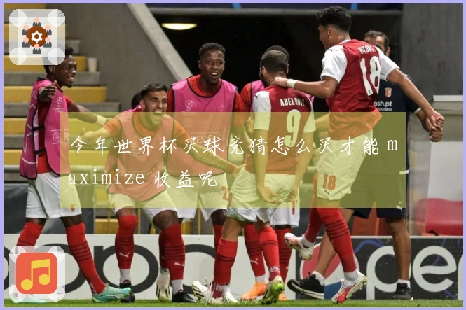 今年世界杯买球竞猜怎么买才能 maximize 收益呢