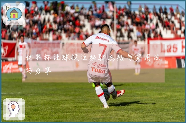 世界杯让球投注经验总结与实用技巧分享