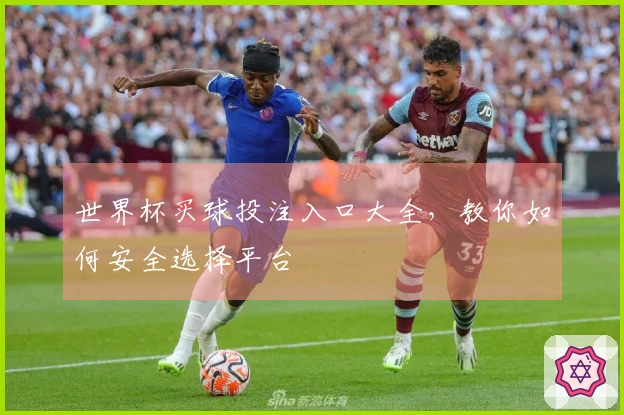 世界杯买球投注入口大全，教你如何安全选择平台