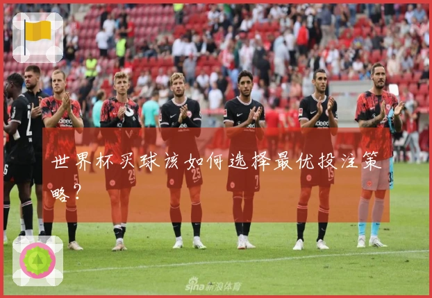 世界杯买球该如何选择最优投注策略？